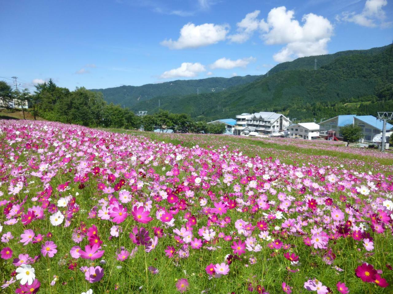 Joyful Honoki Hotel Takajama Kültér fotó